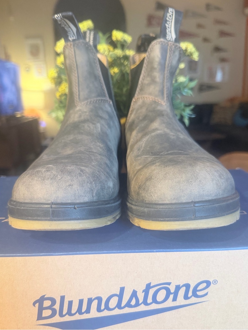 Blundstone Hiking Boots